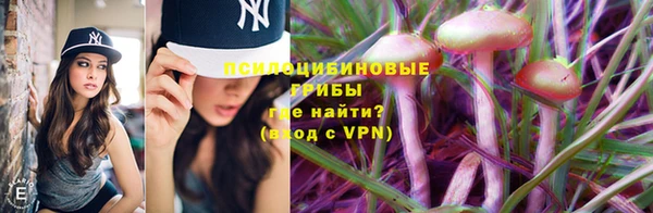 MDMA Осинники