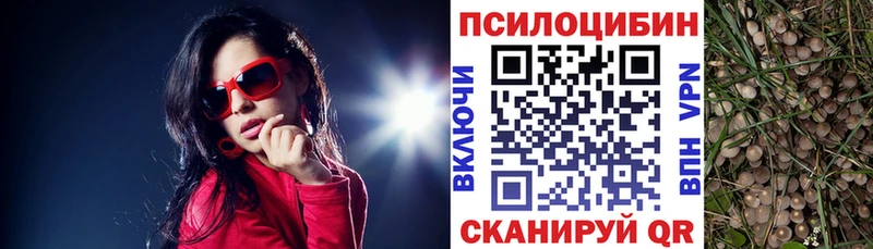 Псилоцибиновые грибы прущие грибы  хочу   Сертолово 